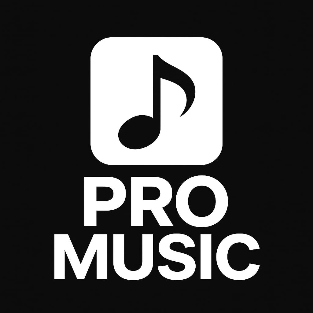 Instagram @felipe.promusic